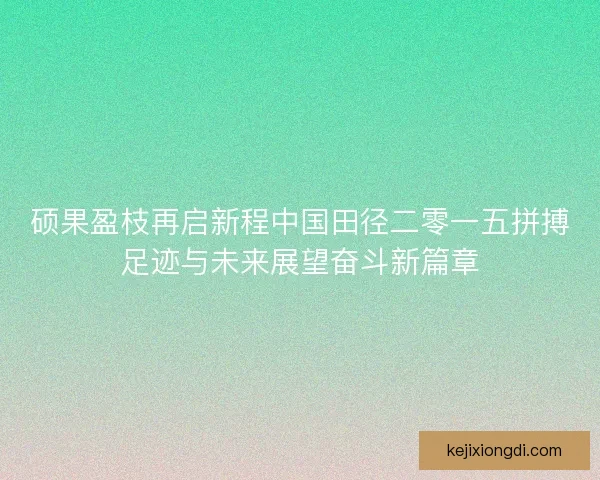 硕果盈枝再启新程中国田径二零一五拼搏足迹与未来展望奋斗新篇章
